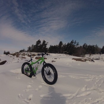 Fatbike parked with windswept pines on horizon