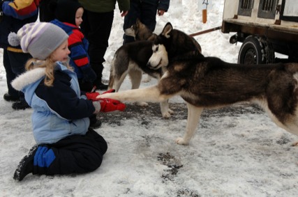 Seguin Sled Dog Mail Run - Parry Sound Tourism