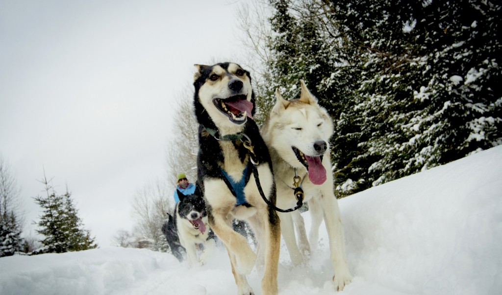 Parry Sound Winter Adventures